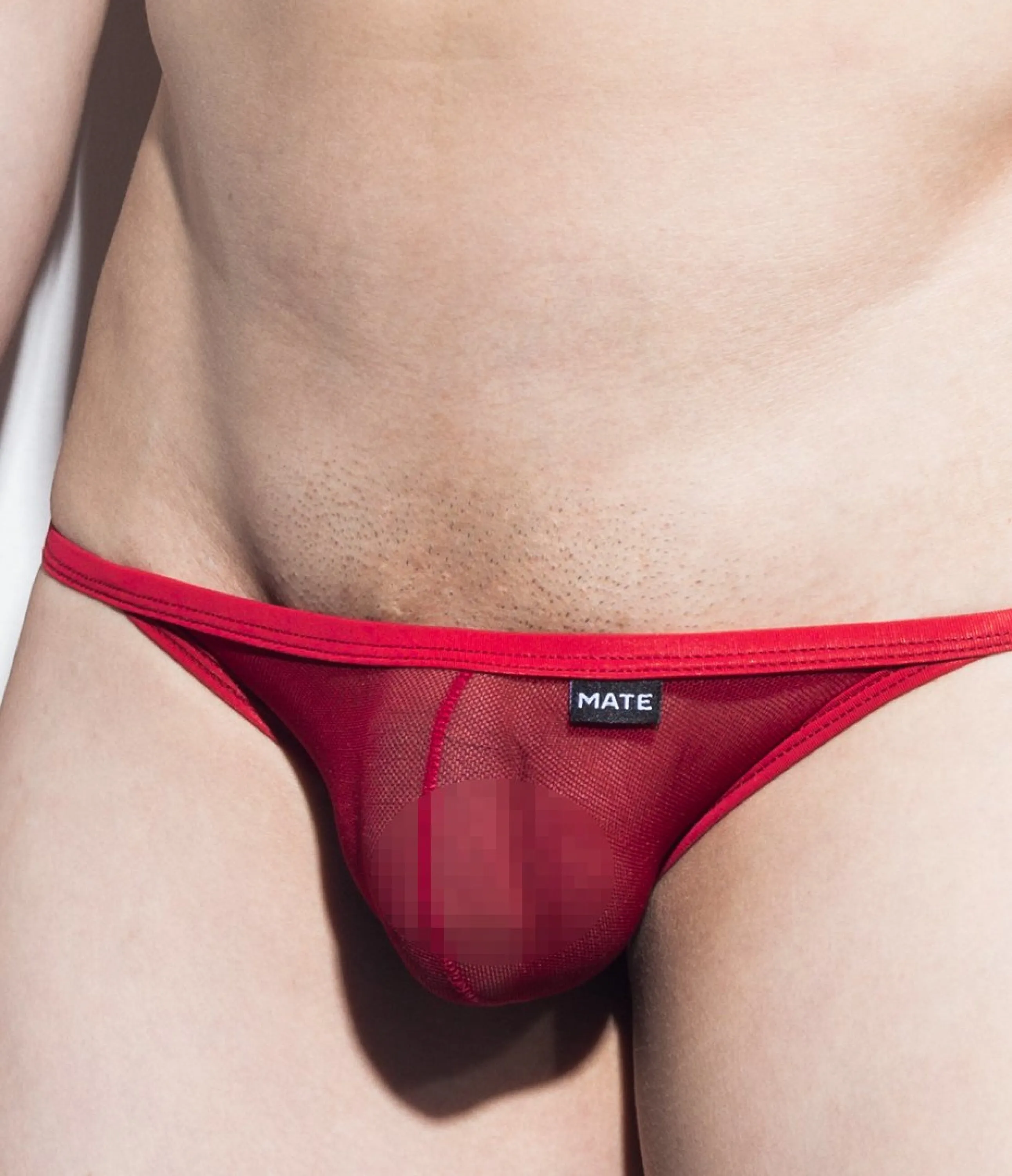 [2pc/Pack] Sexy Men's Underwear Signature Mini Jock - Hwan Ha (Mesh Series)