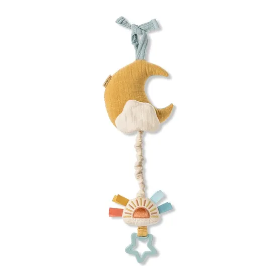 Bitzy Notes Musical Pull-Down Toy - Cloud/Sun