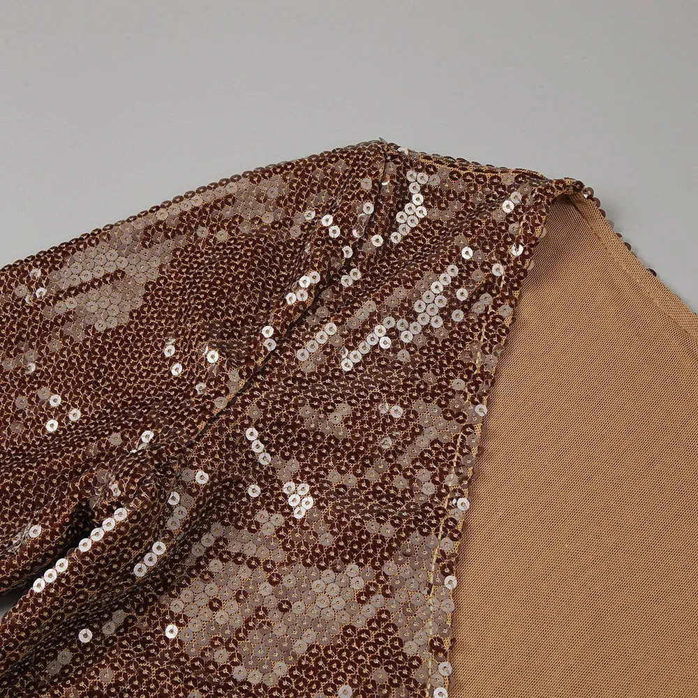 Long Sleeve Mesh Sequin Brown Bodycon Ankle Length Dress