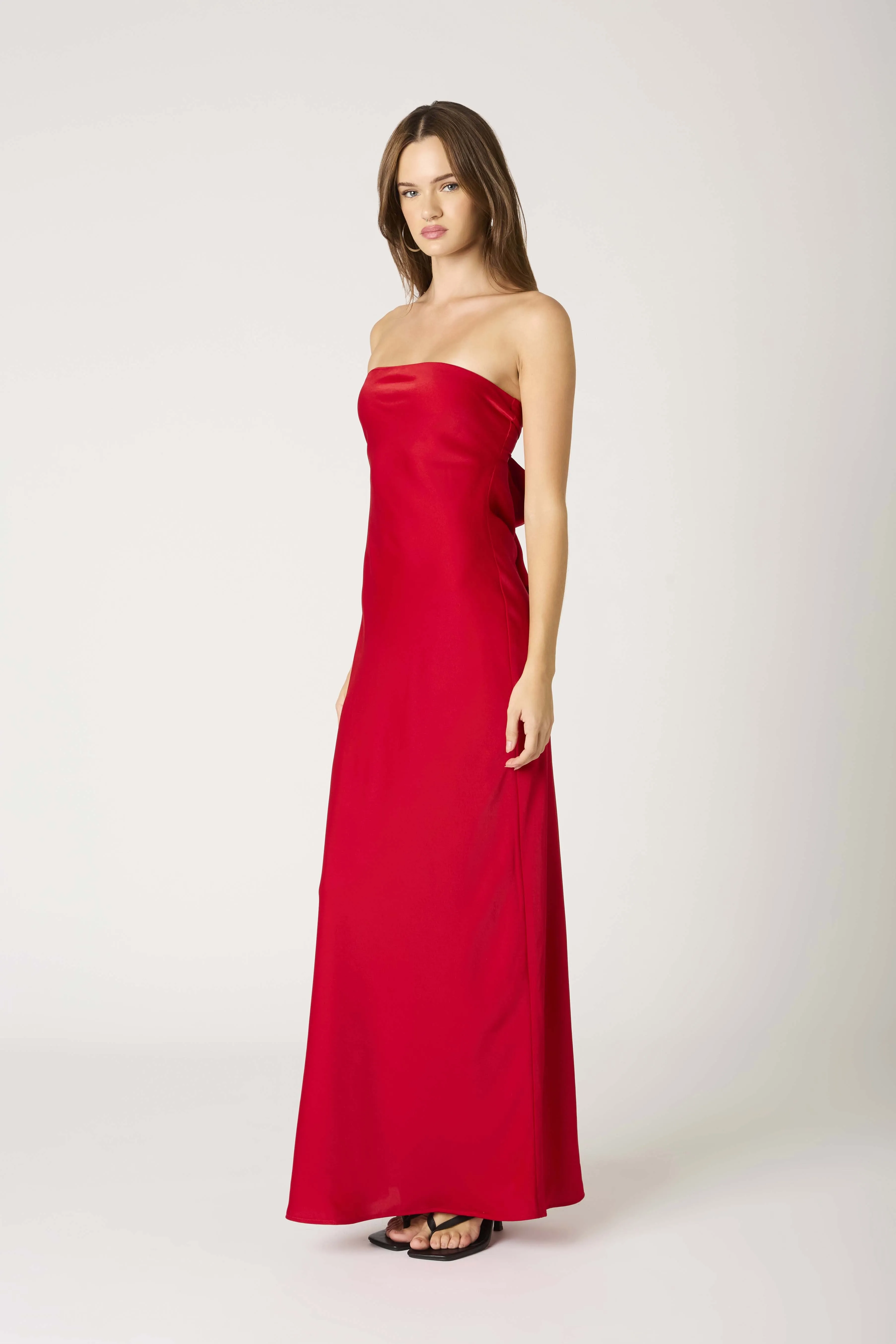 Paulina Strapless Maxi Dress